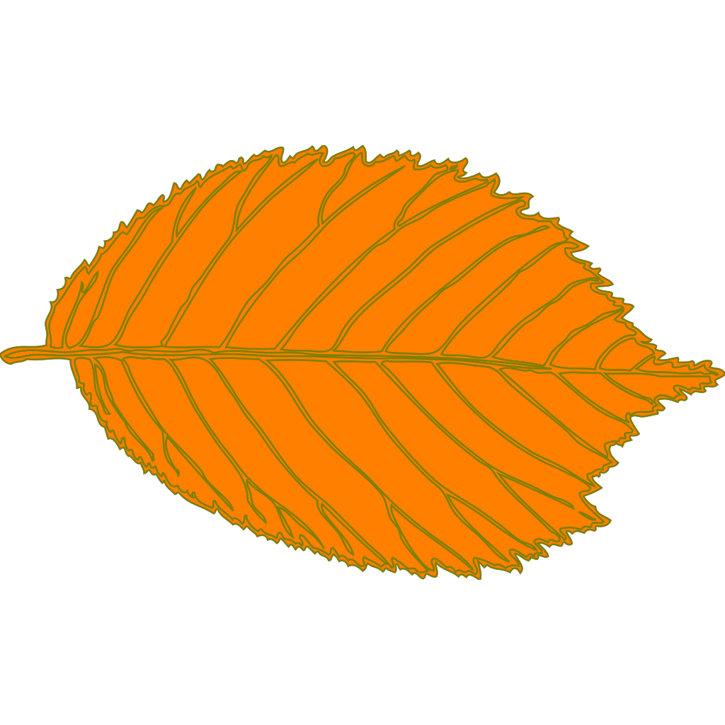 Download Orange Leaf, Brown Border PNG, SVG Clip art for Web ...
