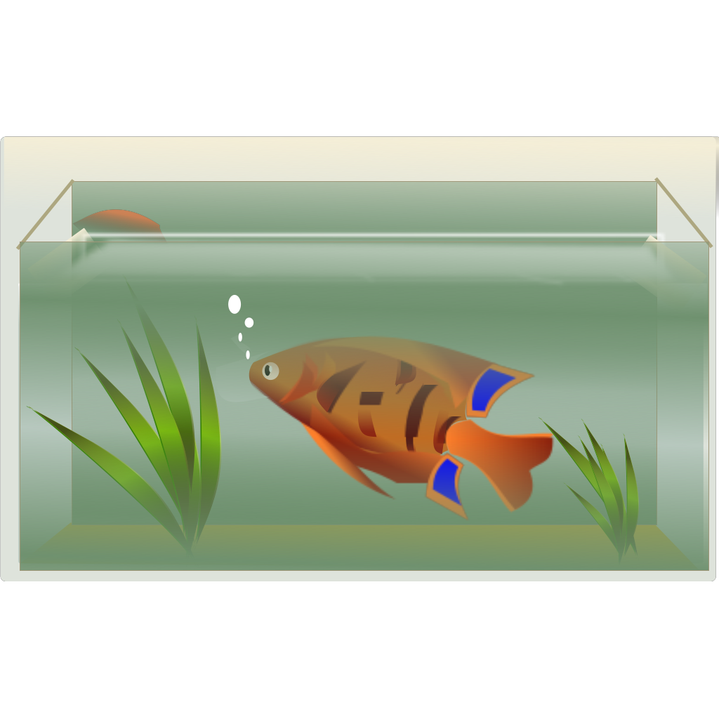 Download Fish Tank SVG Clip arts download - Download Clip Art, PNG ...