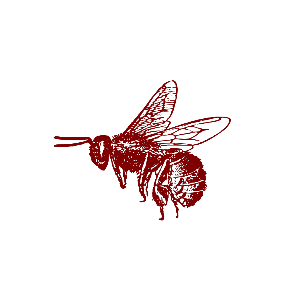 Download Honey Bee PNG, SVG Clip art for Web - Download Clip Art ...