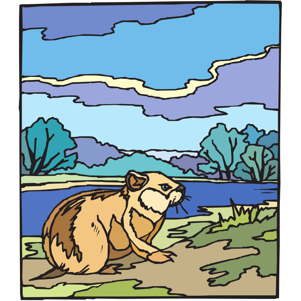 Paint By Numbers Chipmunk PNG, SVG Clip art for  Download Clip Art