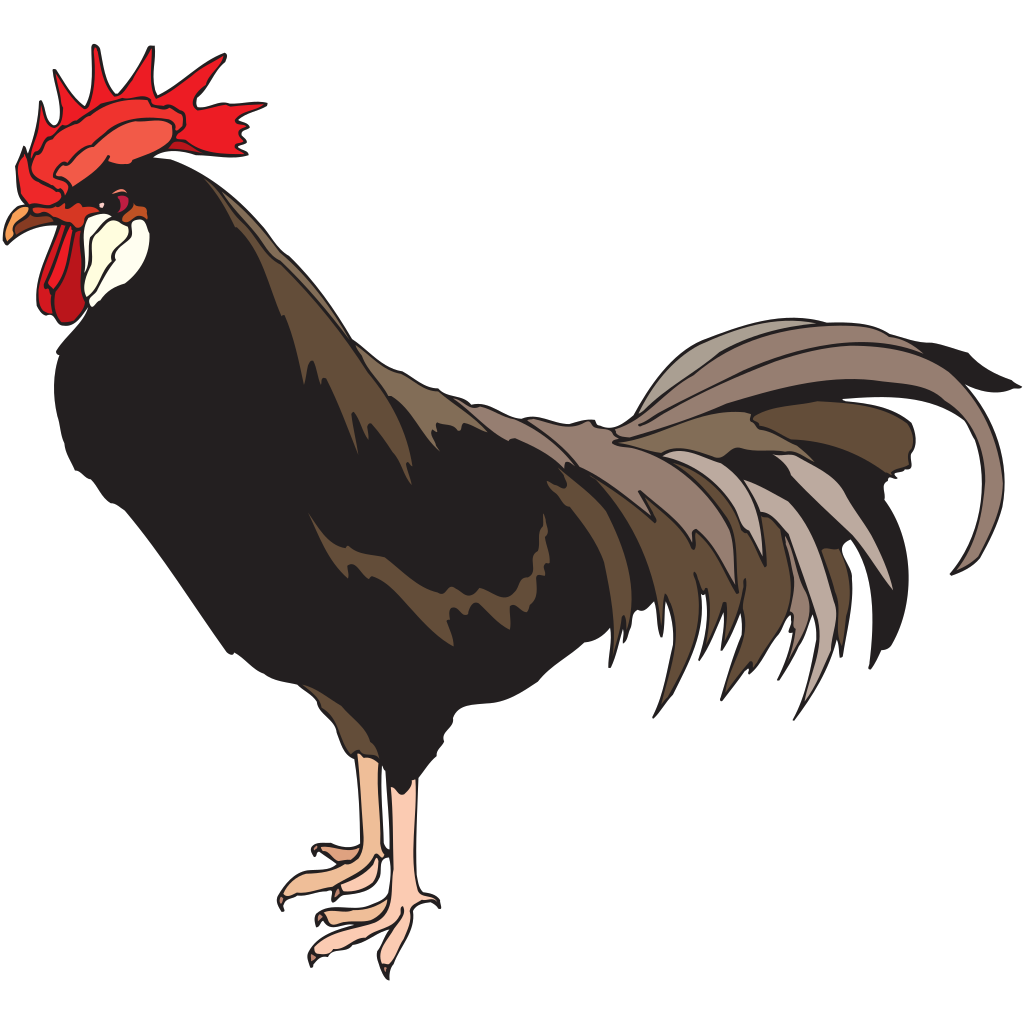 Brown Rooster SVG vector. 