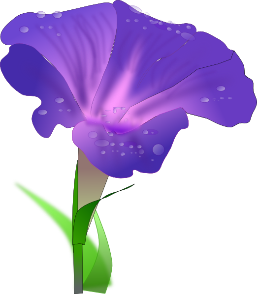 Morning Glory PNG, SVG Clip art for Web Download Clip