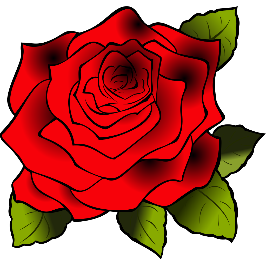 My Image 43