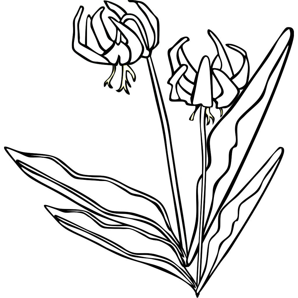 Download Vase Of Wild Flowers PNG, SVG Clip art for Web - Download ...