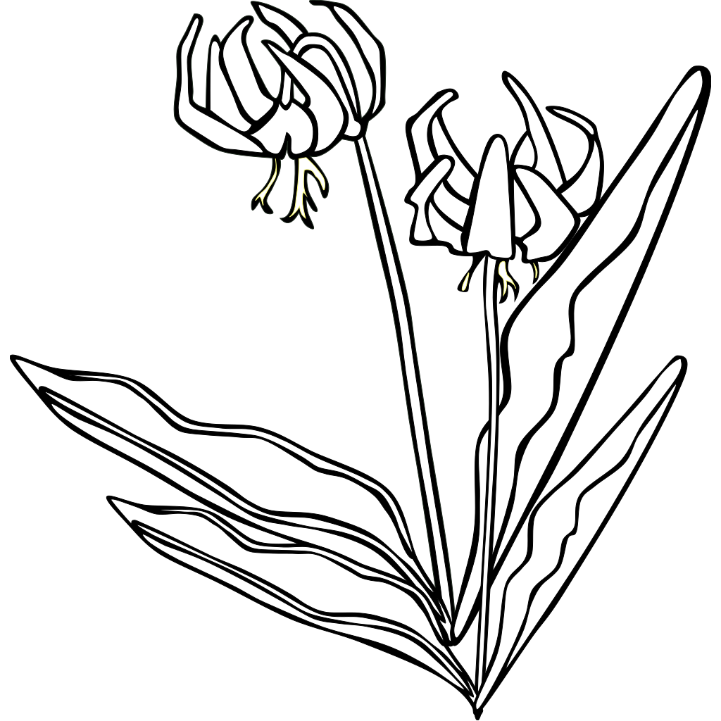 Free Free 313 Flower Vase Svg File SVG PNG EPS DXF File