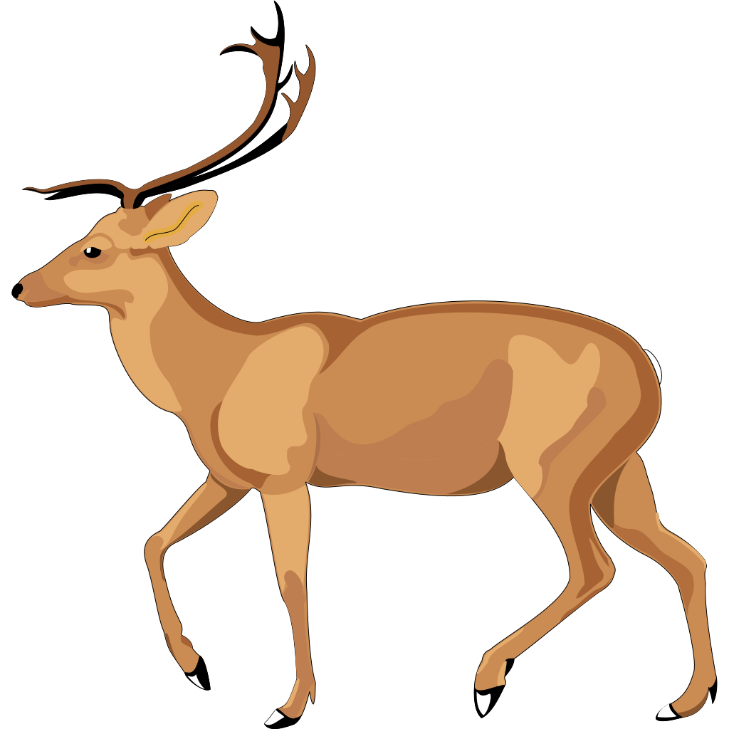 Antelope PNG, SVG Clip art for Web - Download Clip Art, PNG Icon Arts