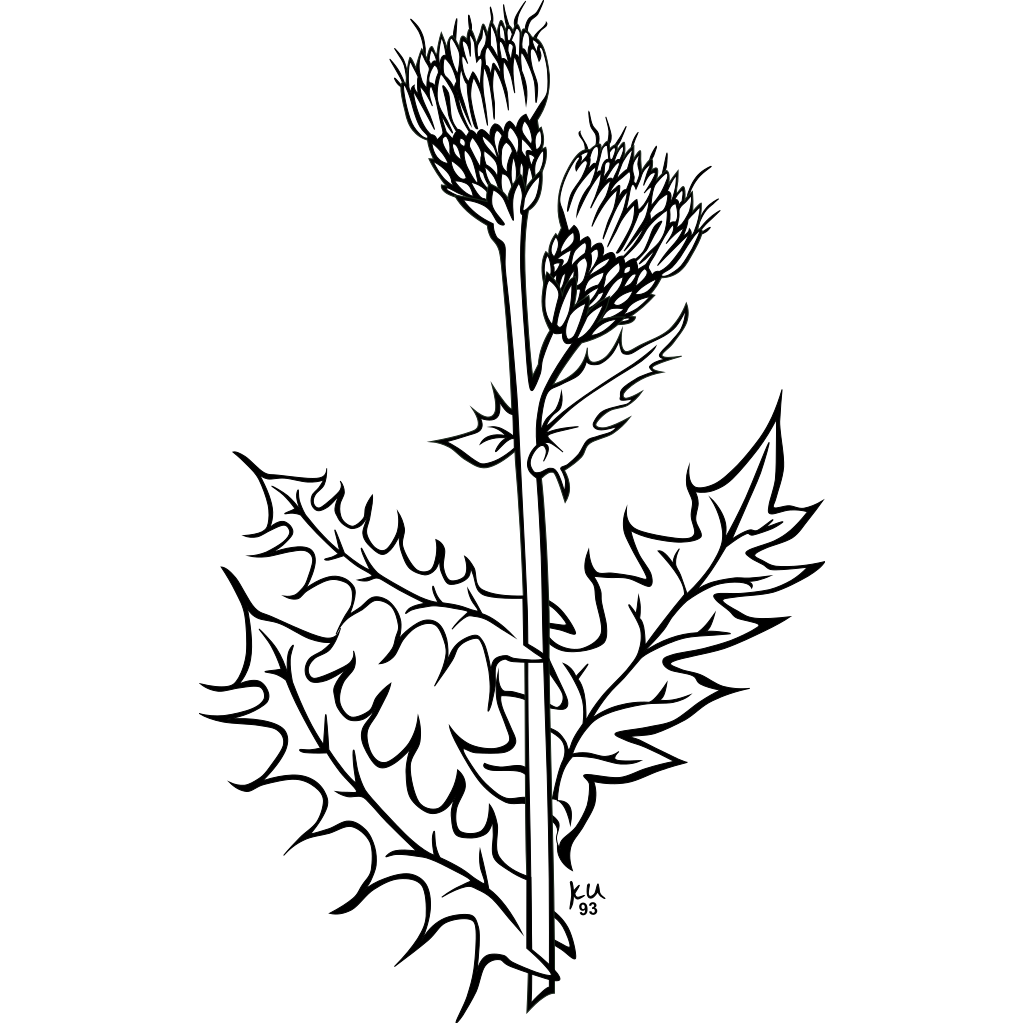 Love Weed Svg Love Svg Free Premium Svg File