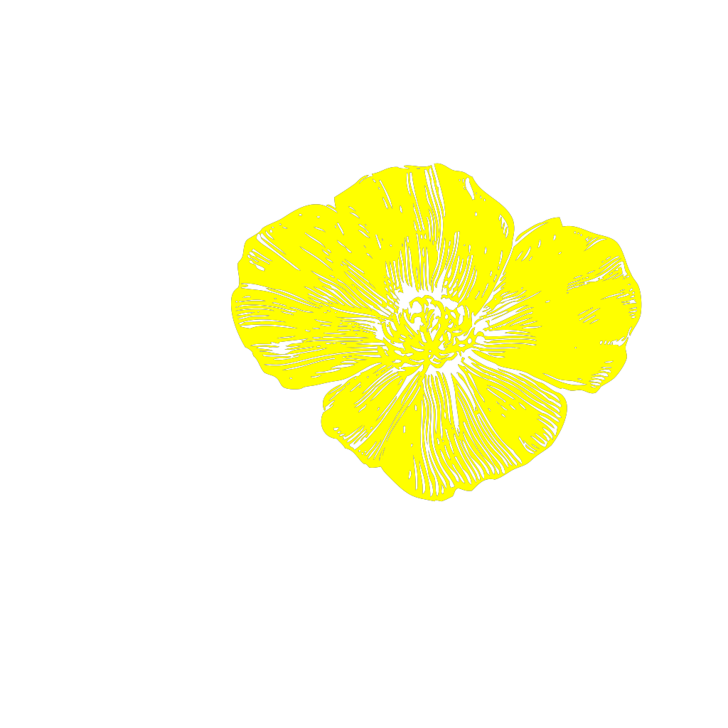 Yellow Poppy PNG, SVG Clip art for Web - Download Clip Art ...