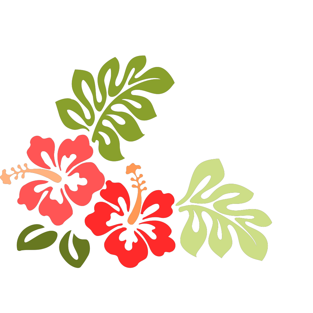 Hibiscus PNG, SVG Clip art for Web - Download Clip Art, PNG Icon Arts