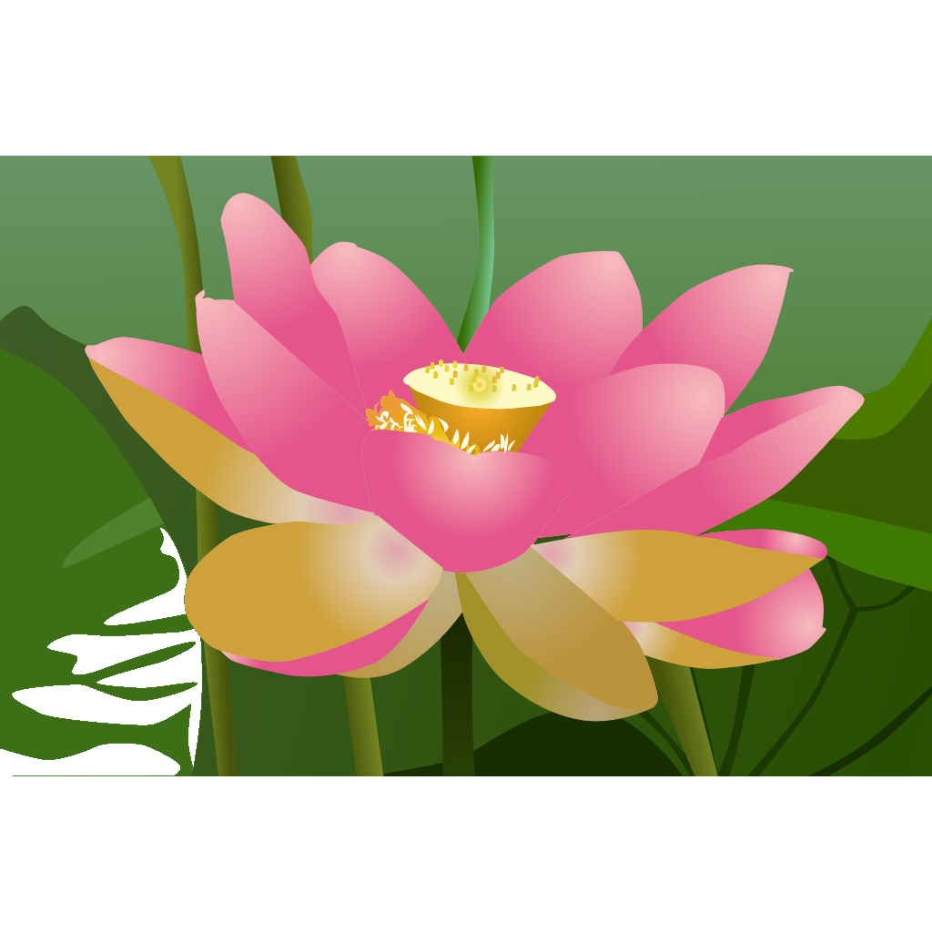 Pink lotus flower png svg clip art for web download clip art png
