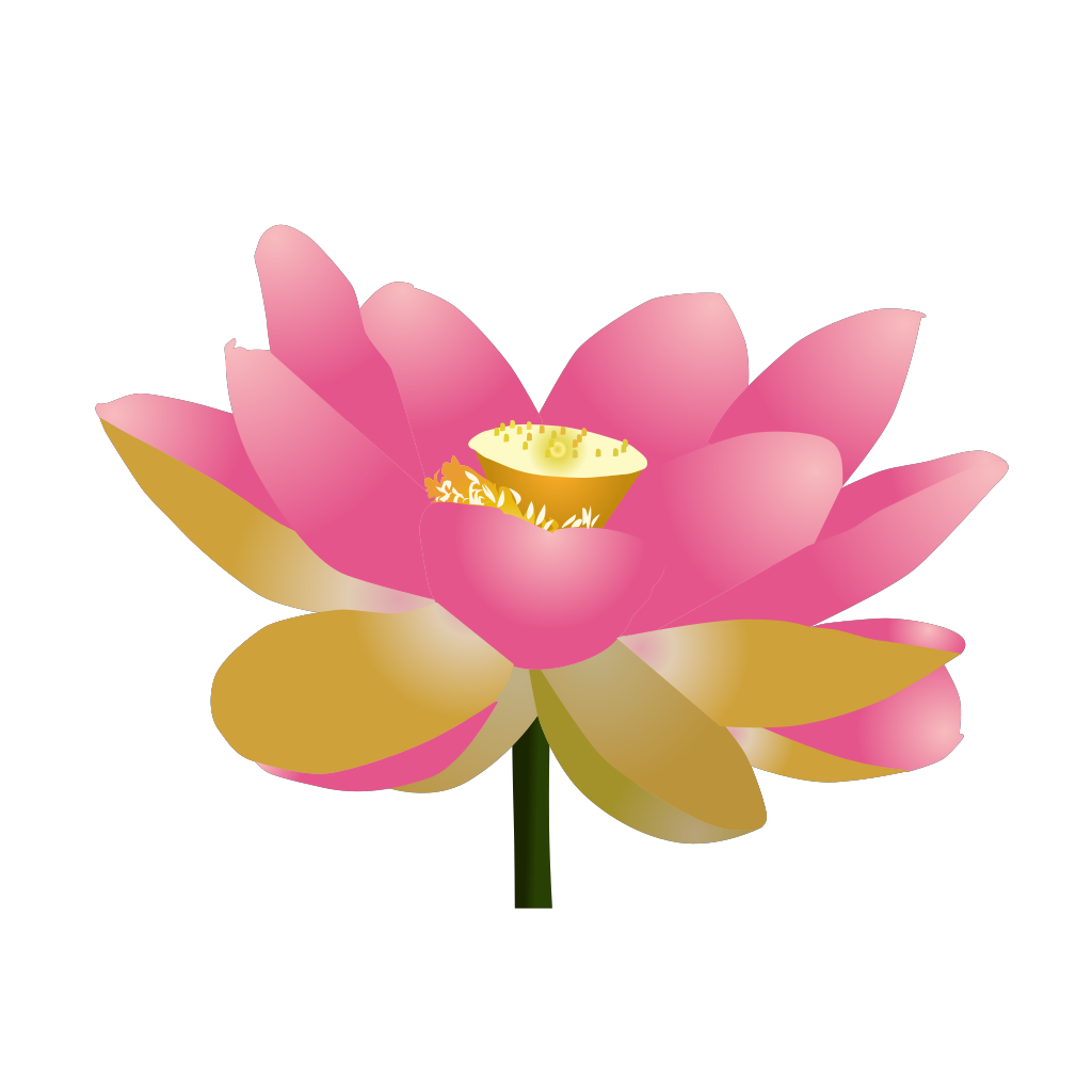 Yoga Lotus Flower PNG, SVG Clip art for Web Download