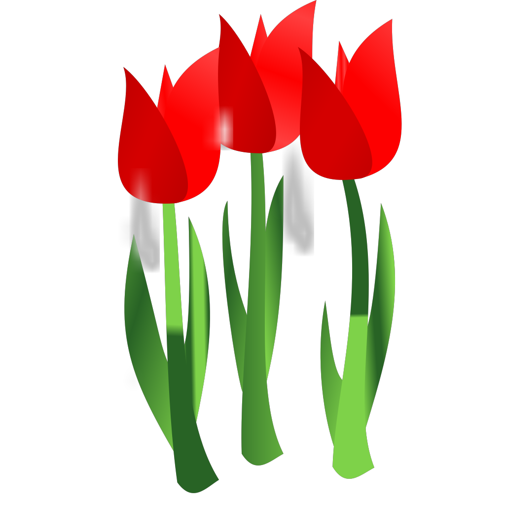 Red Tulips PNG, SVG Clip art for Web - Download Clip Art, PNG Icon Arts