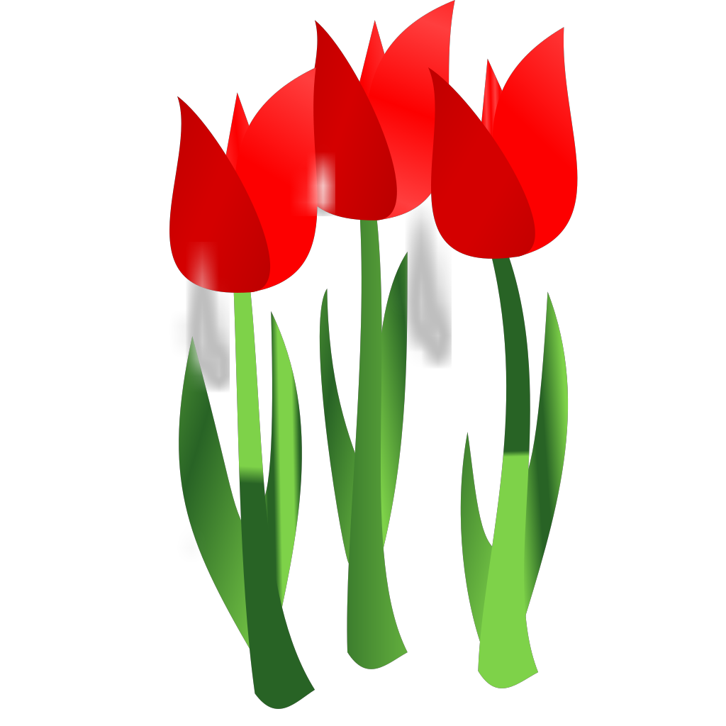 Red Tulips PNG, SVG Clip art for  Download Clip Art, PNG Icon Arts