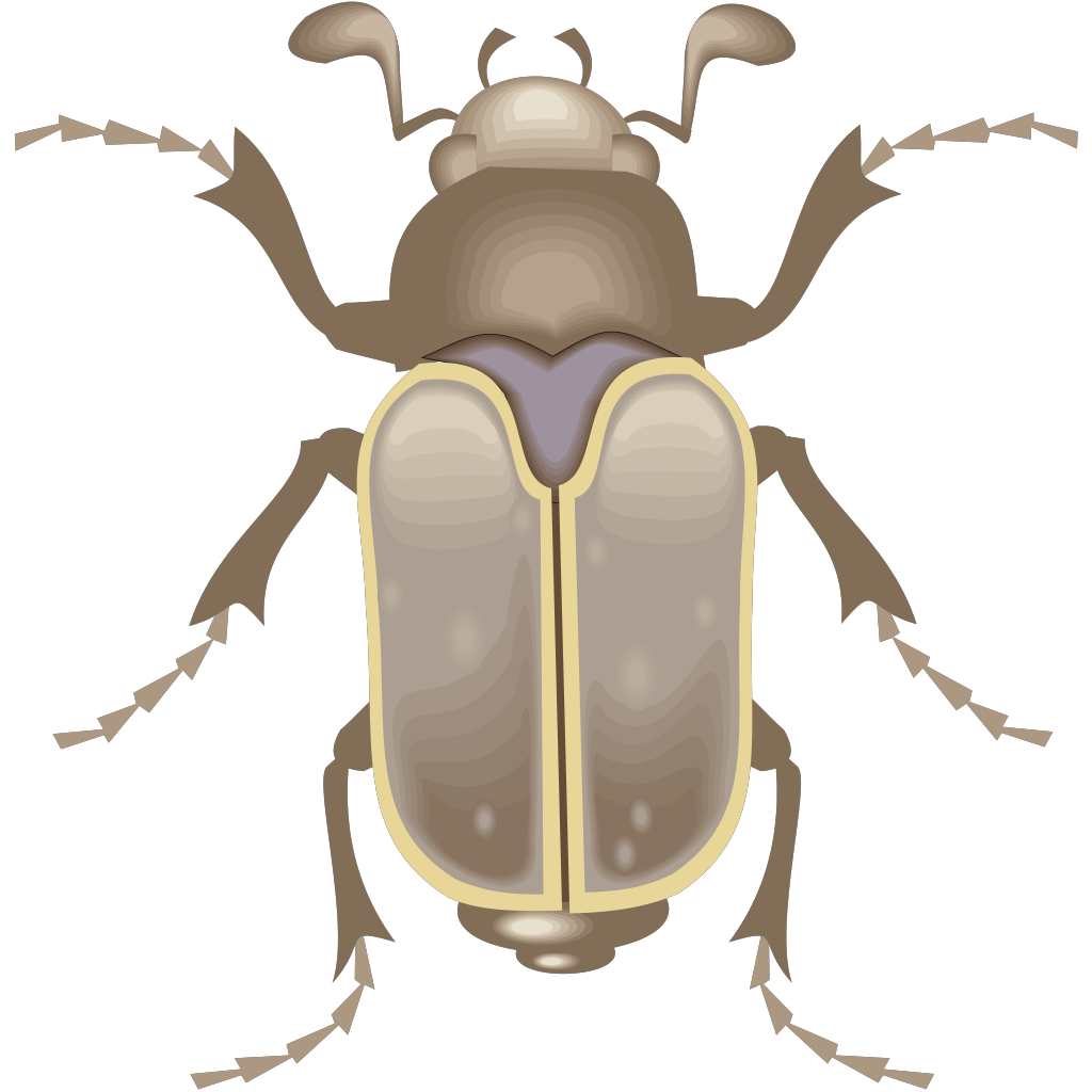 Beetle Art SVG Clip arts