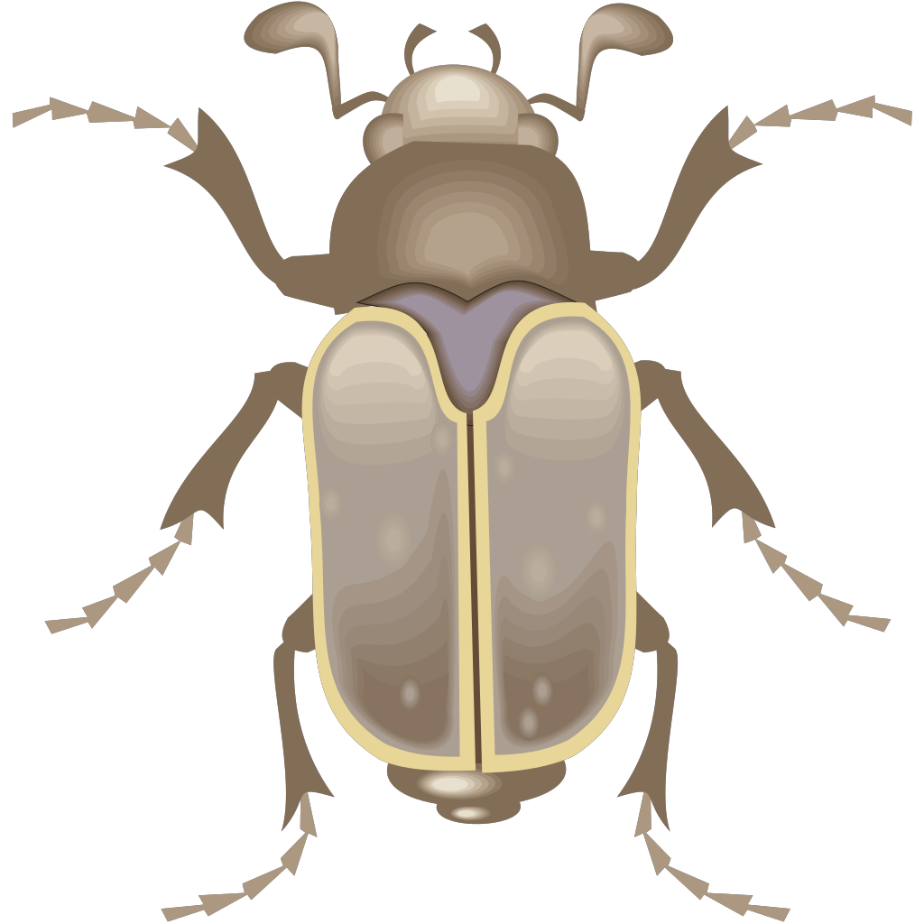 Beetle Art PNG, SVG Clip art for Web - Download Clip Art, PNG Icon Arts