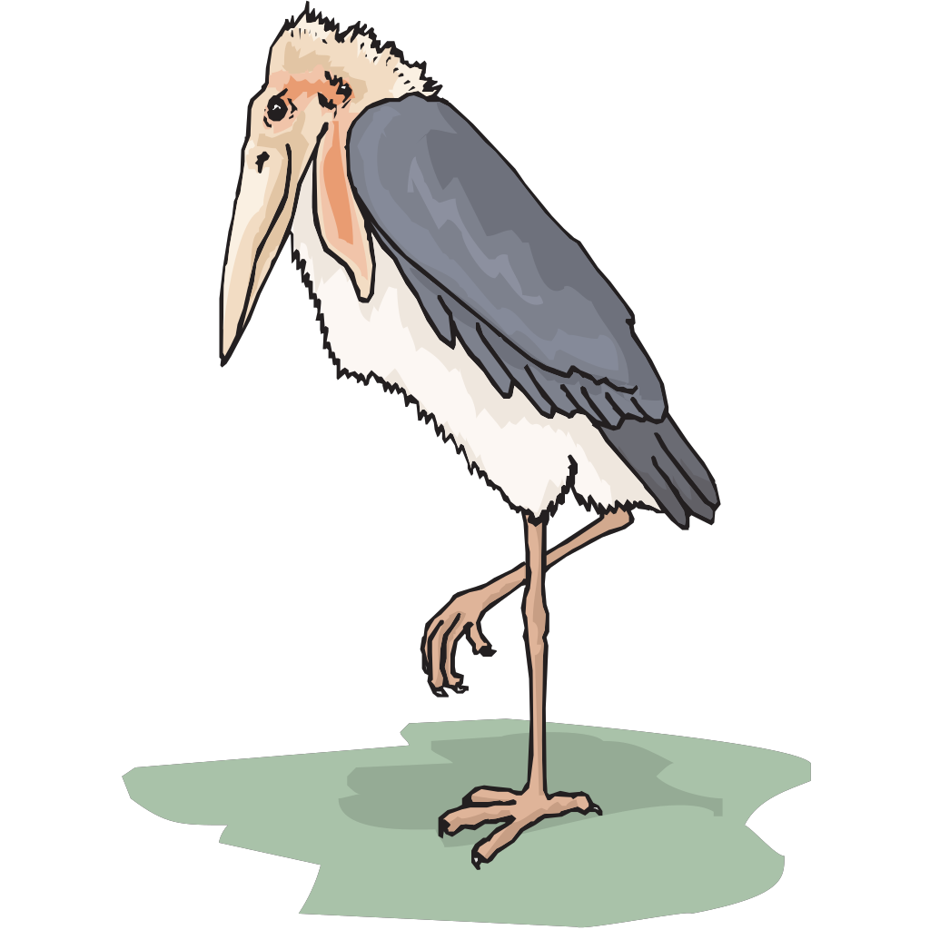 Marabou Stork PNG, SVG Clip art for Web - Download Clip Art, PNG Icon Arts