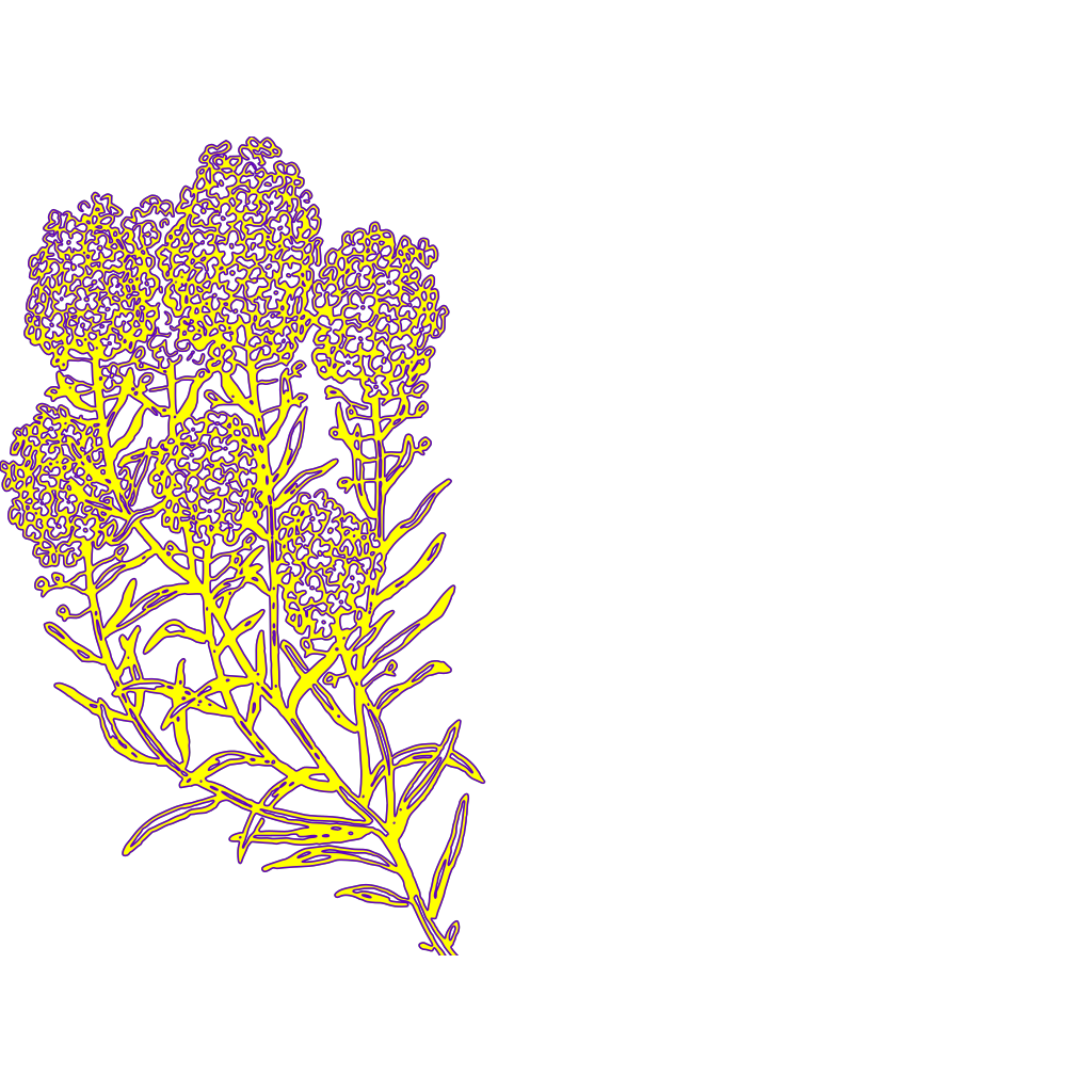 Flower SVG Clip arts download - Download Clip Art, PNG Icon Arts