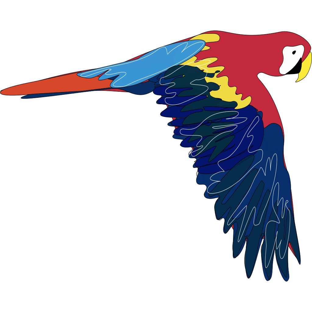 Опиши картинки a parrot can fly