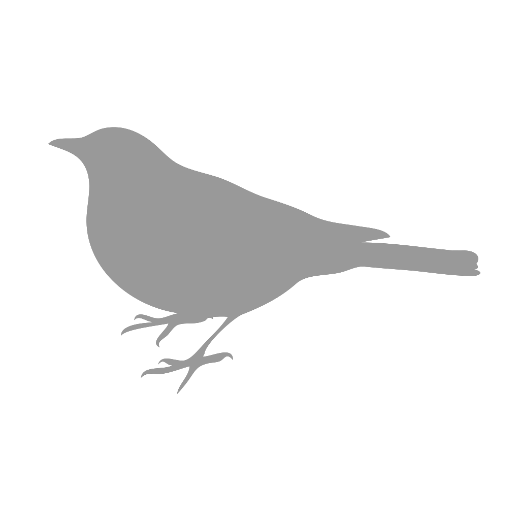 Small Grey Bird SVG Clip arts