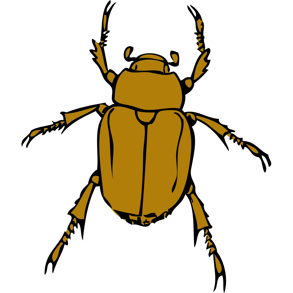 Beetle Bug PNG Clip arts.