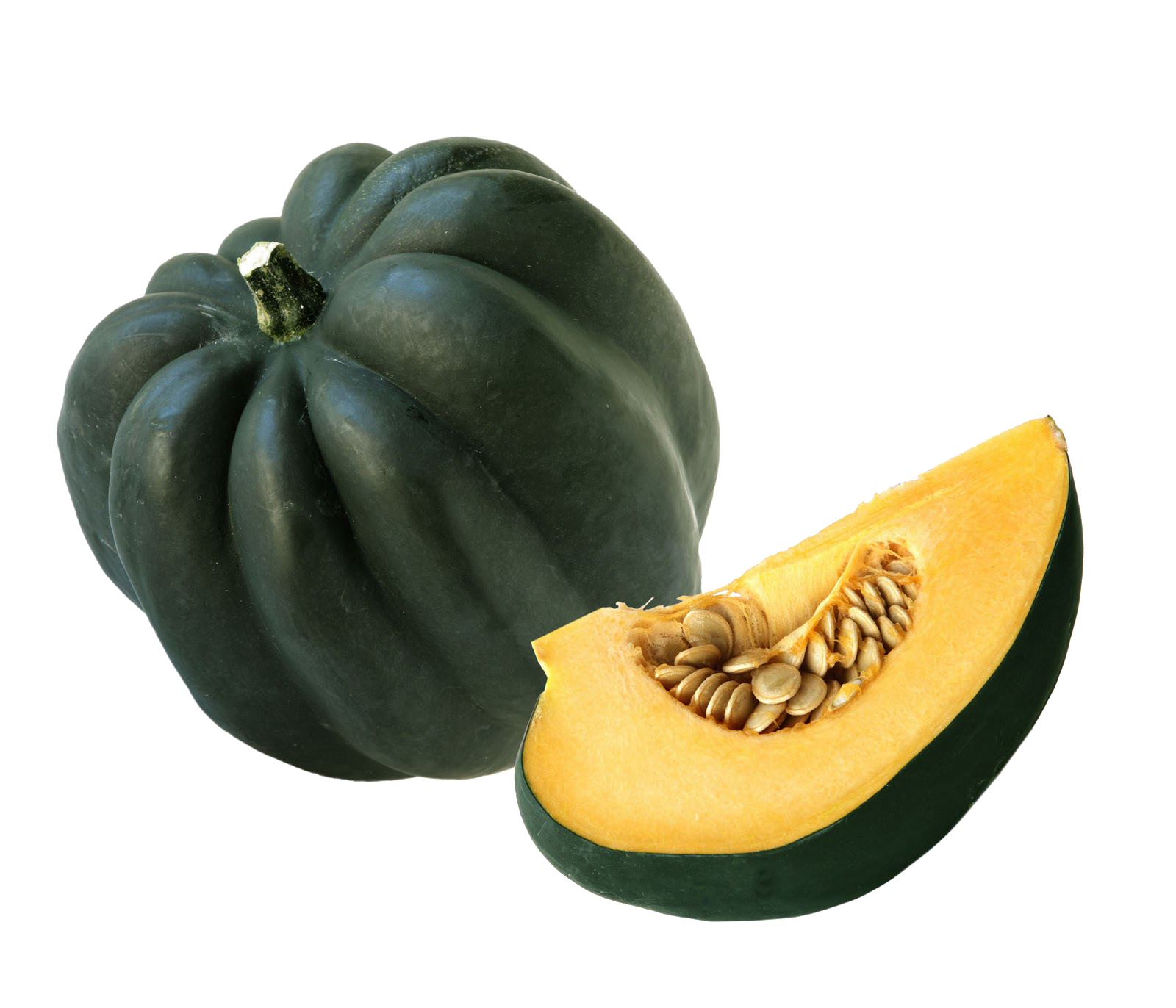 Acorn Squash PNG HD PNG, SVG Clip art for Web - Download Clip Art, PNG