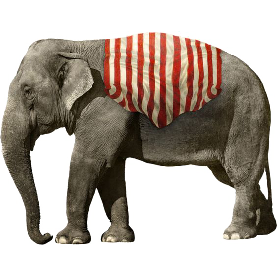 African Elephant PNG Picture SVG Clip arts