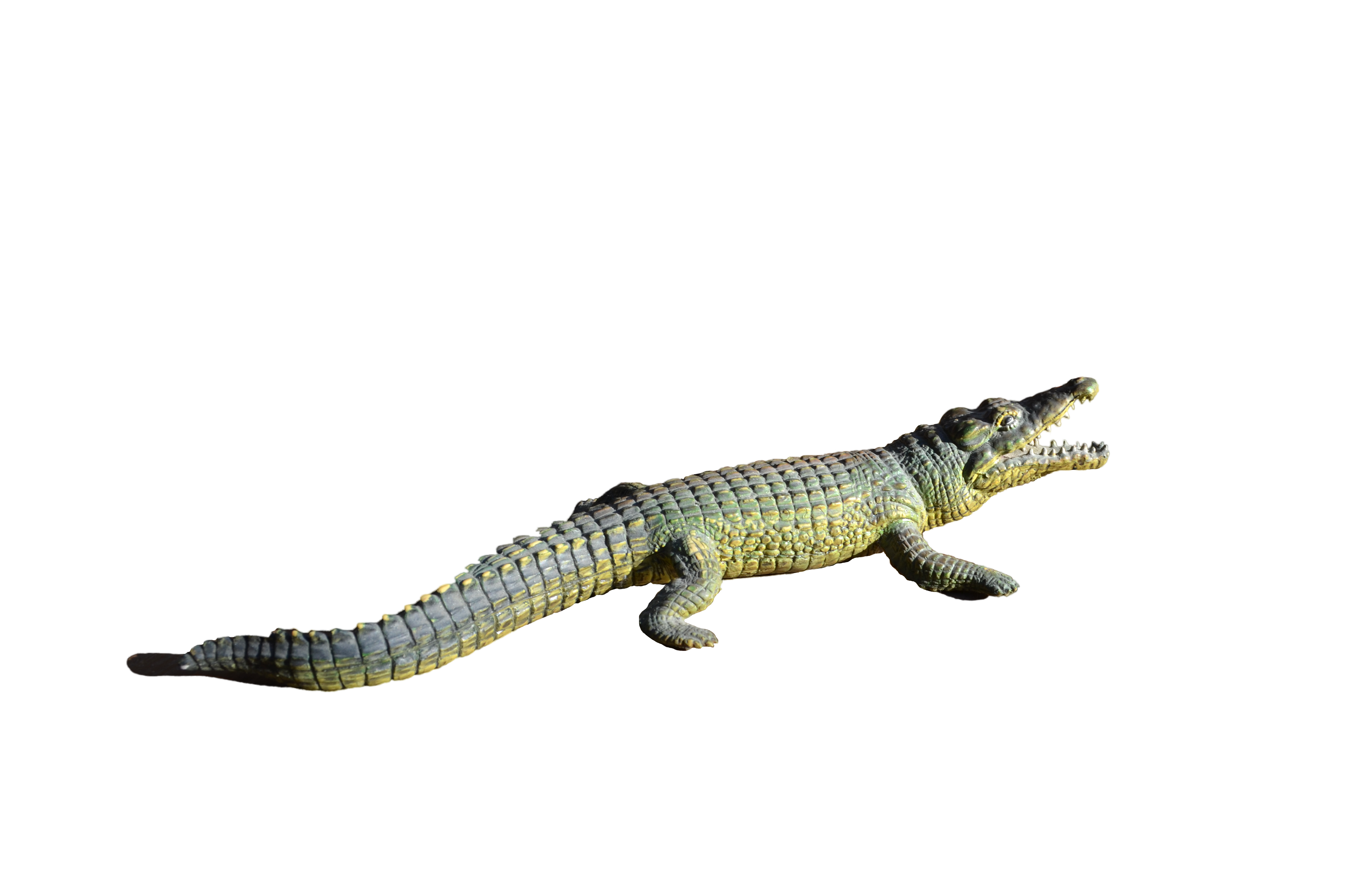 Картинки крокодилы png