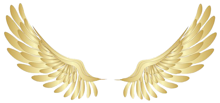 Angel Halo Wings PNG File SVG Clip arts