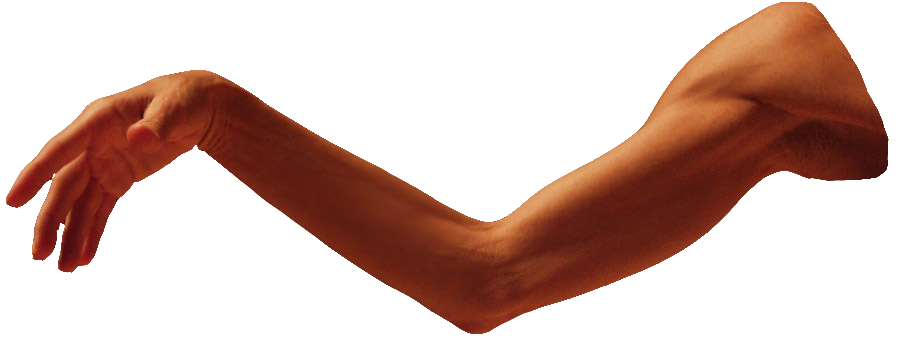 Arm Transparent PNG SVG Clip arts