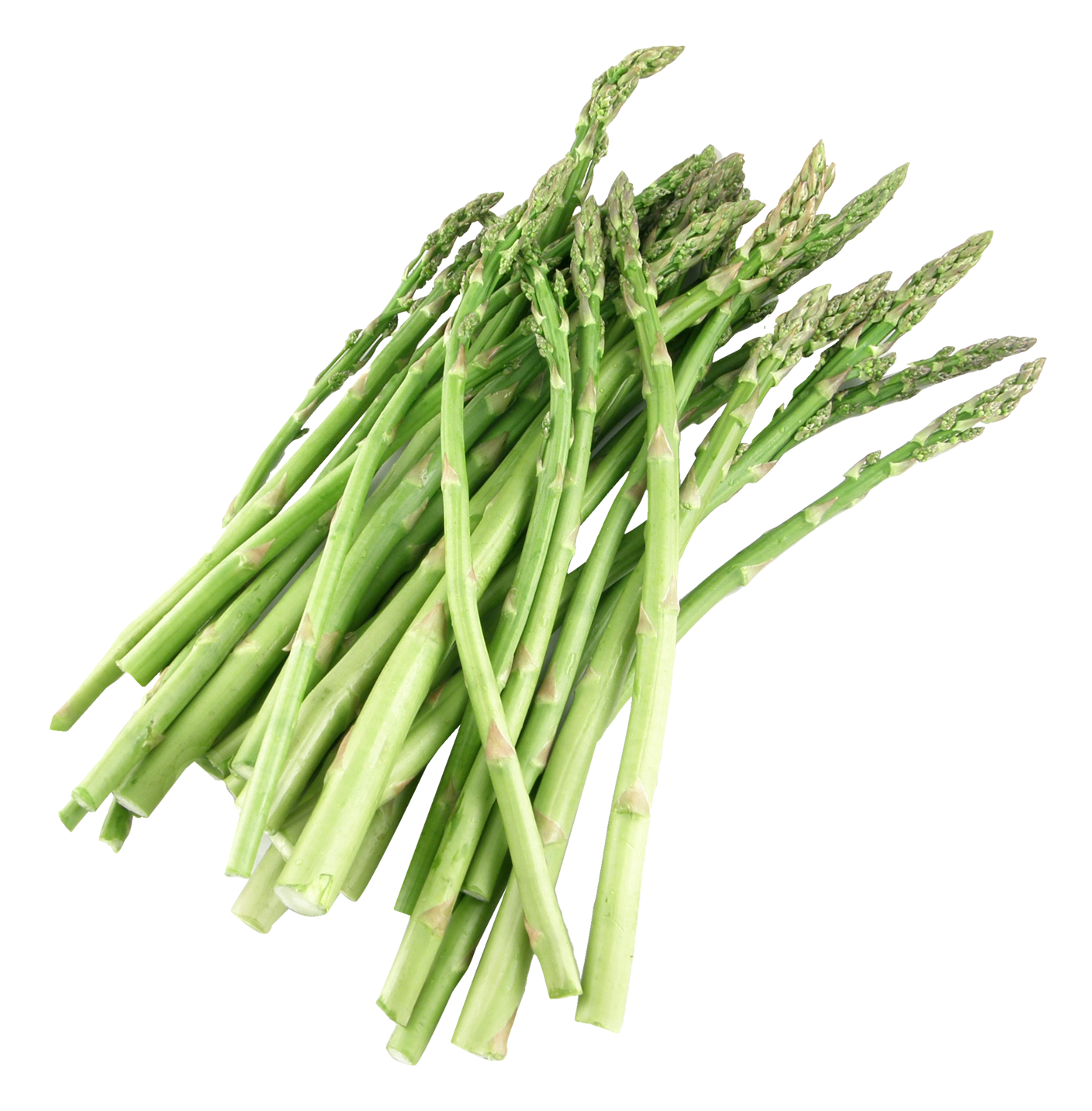 Asparagus Transparent PNG PNG, SVG Clip art for Web - Download Clip Art