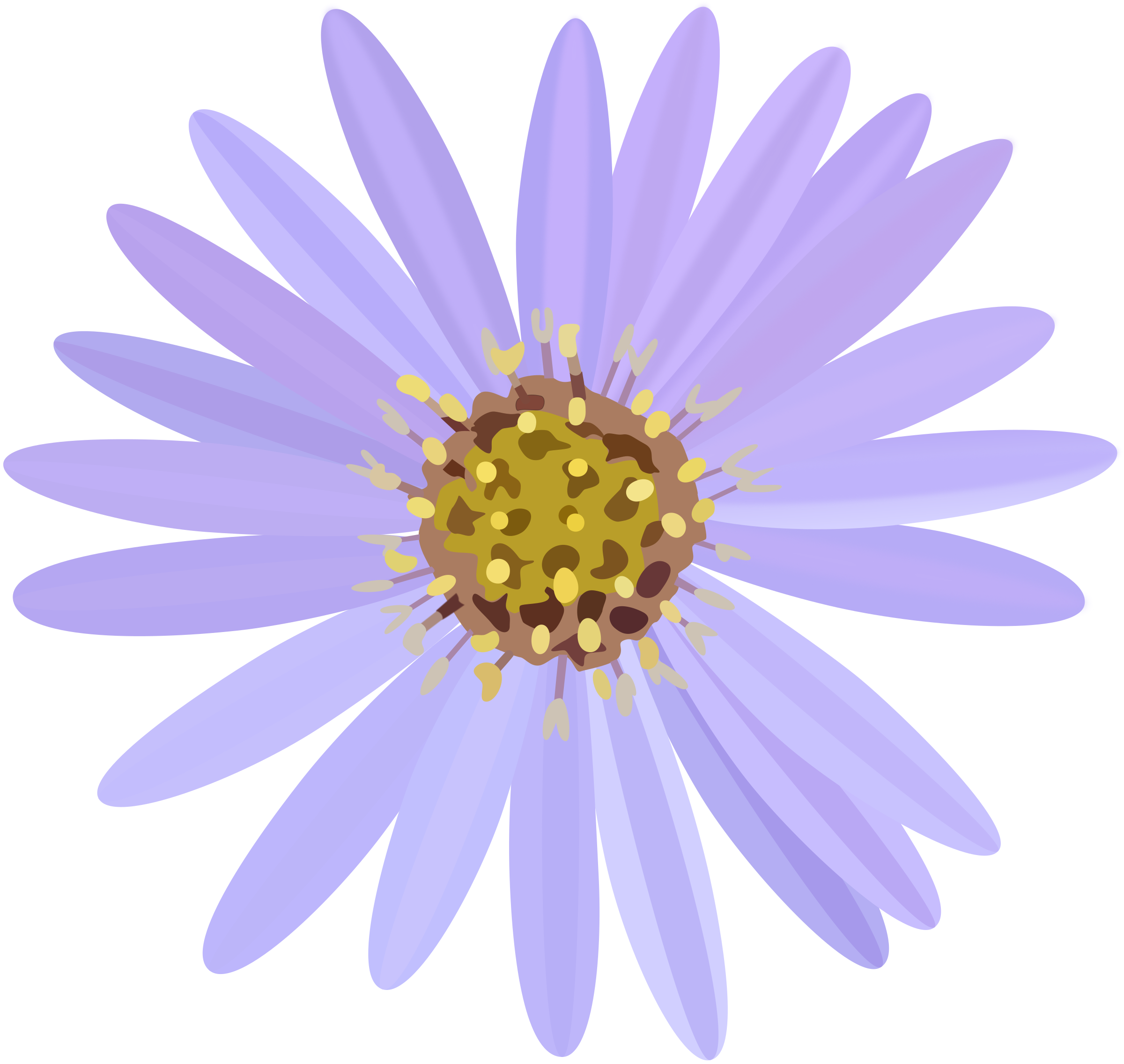 Aster Transparent PNG PNG, SVG Clip art for Web - Download Clip Art