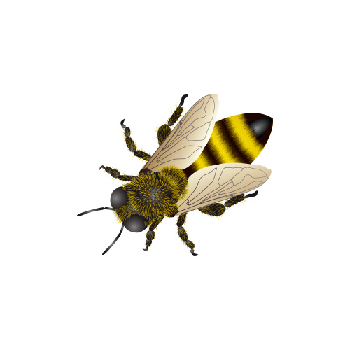 Bee PNG Free Download SVG Clip arts