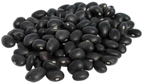 Black Beans PNG Clipart PNG, SVG Clip art for Web - Download Clip Art