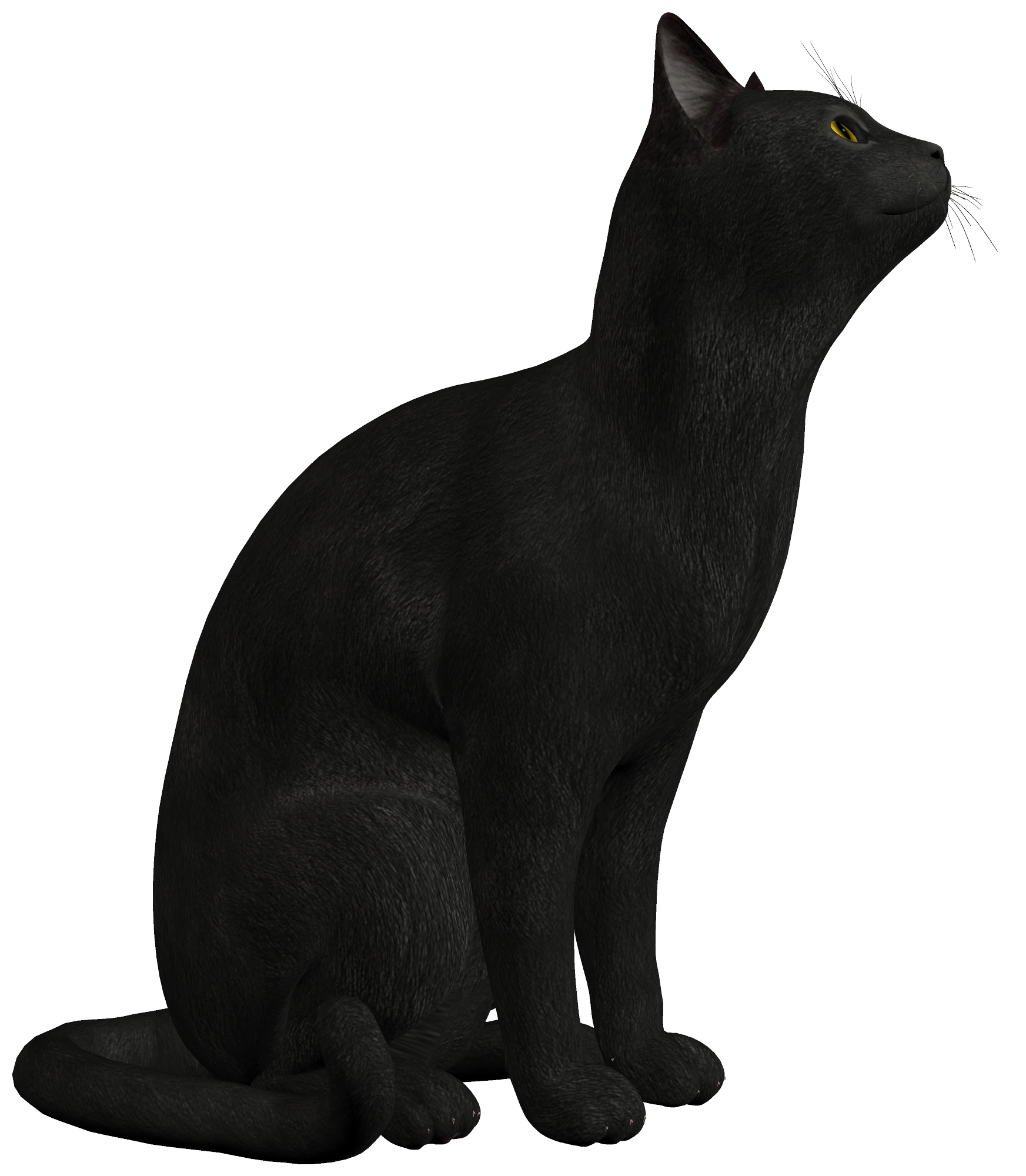 Black Cat PNG Photo SVG Clip arts