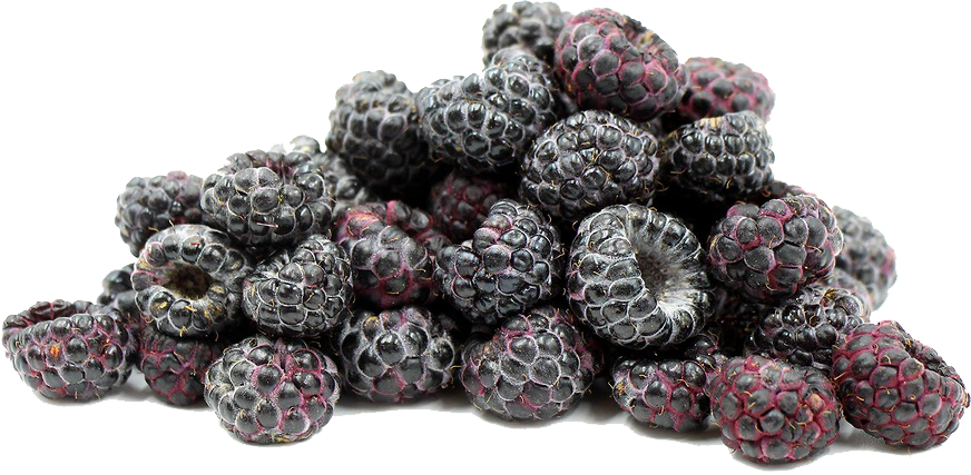 Black Raspberries PNG File SVG Clip arts