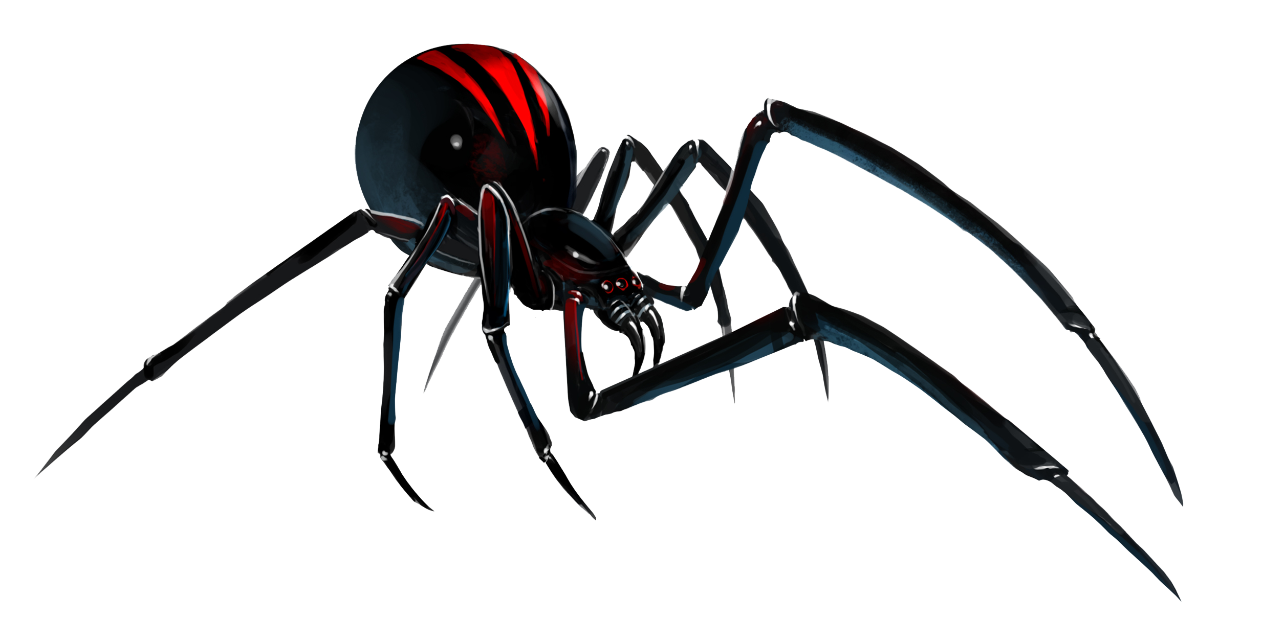 Black Widow Spider PNG File.