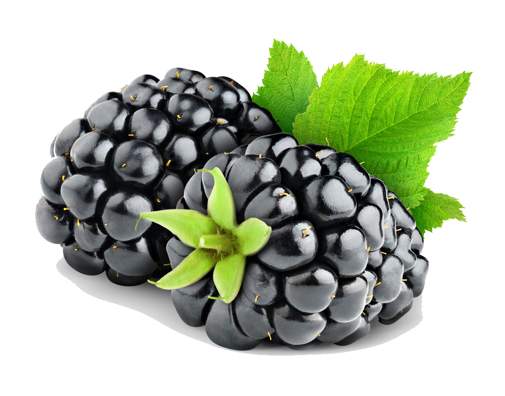 Free Free Blackberry Fruit Svg 271 SVG PNG EPS DXF File