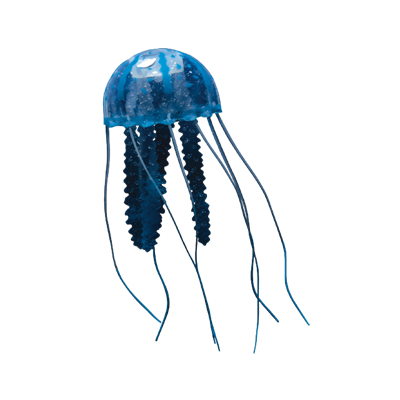 Download Box Jellyfish PNG Photos PNG, SVG Clip art for Web ...