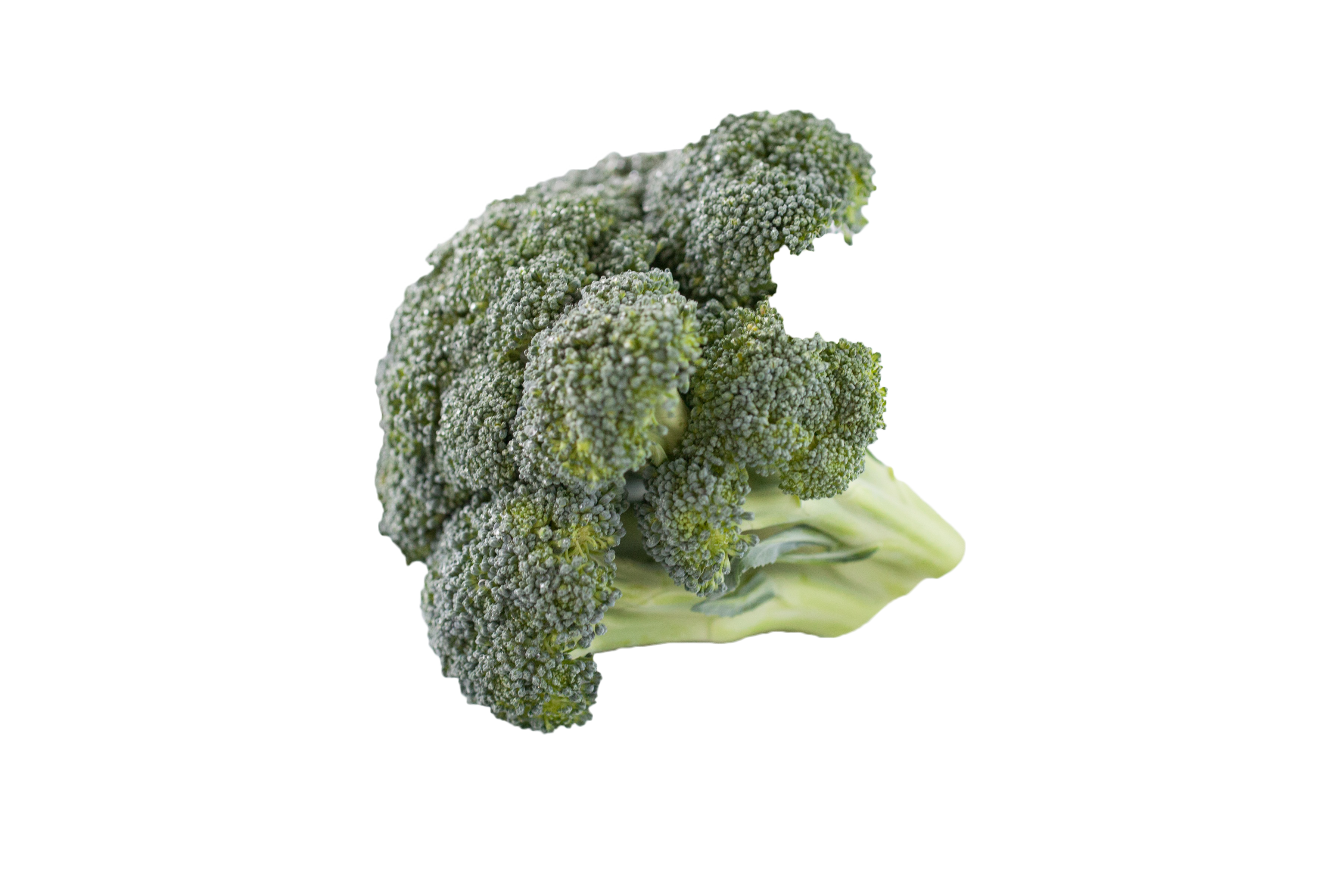 Broccoli PNG File Download Free SVG Clip arts