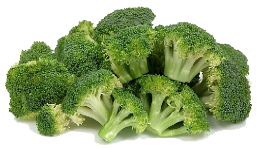 Broccoli PNG HD Quality SVG Clip arts