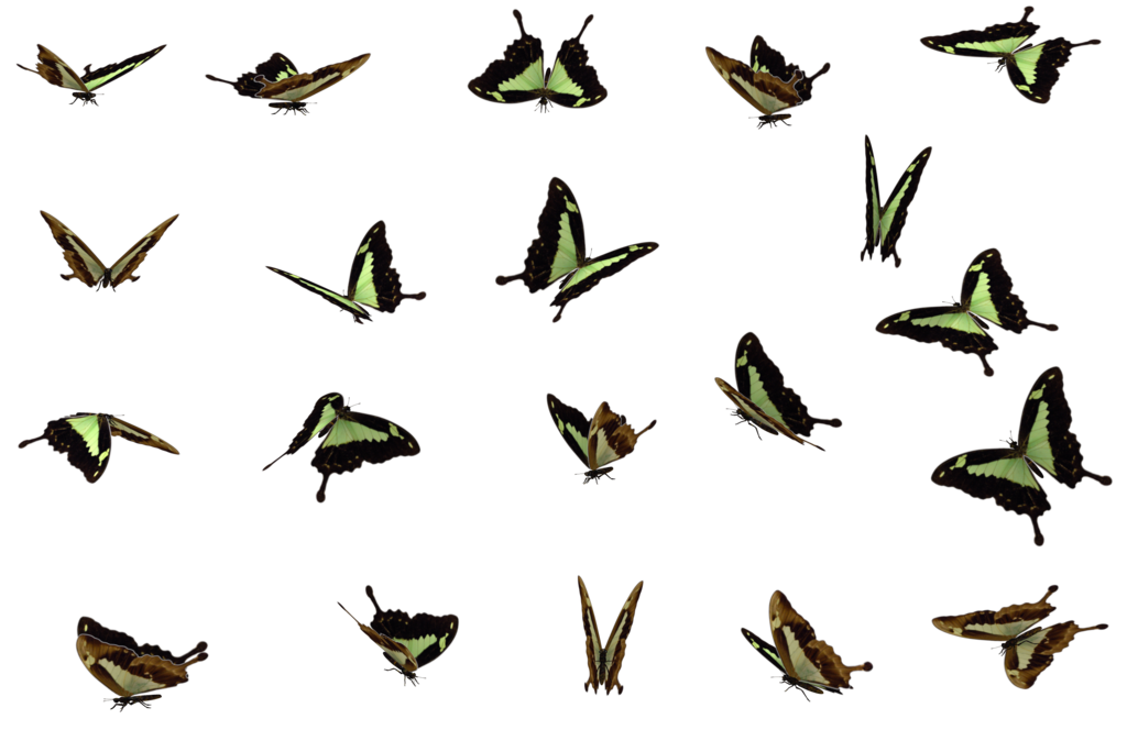 Butterflies Swarm PNG File PNG, SVG Clip art for Web - Download Clip