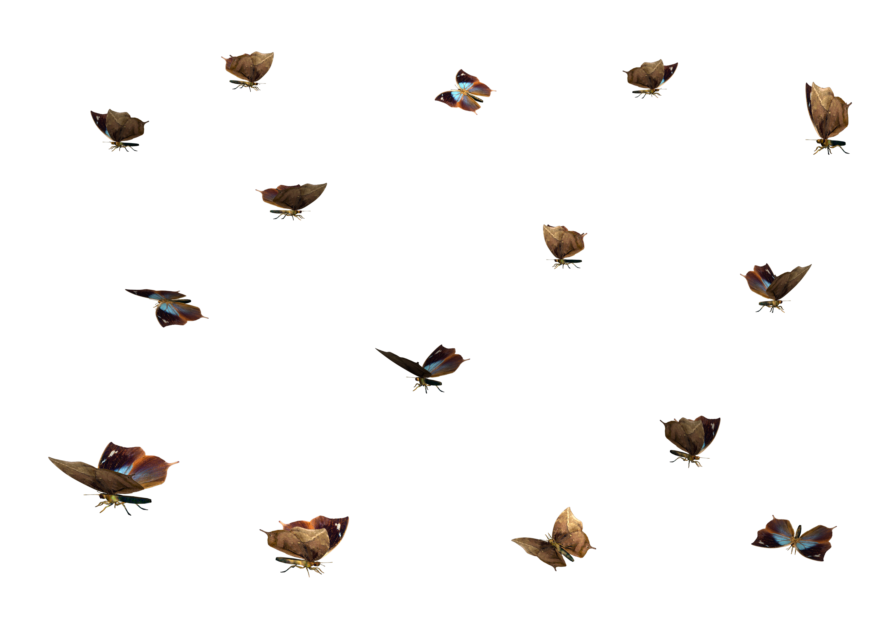 Free Free Butterfly Swarm Svg Free 331 SVG PNG EPS DXF File