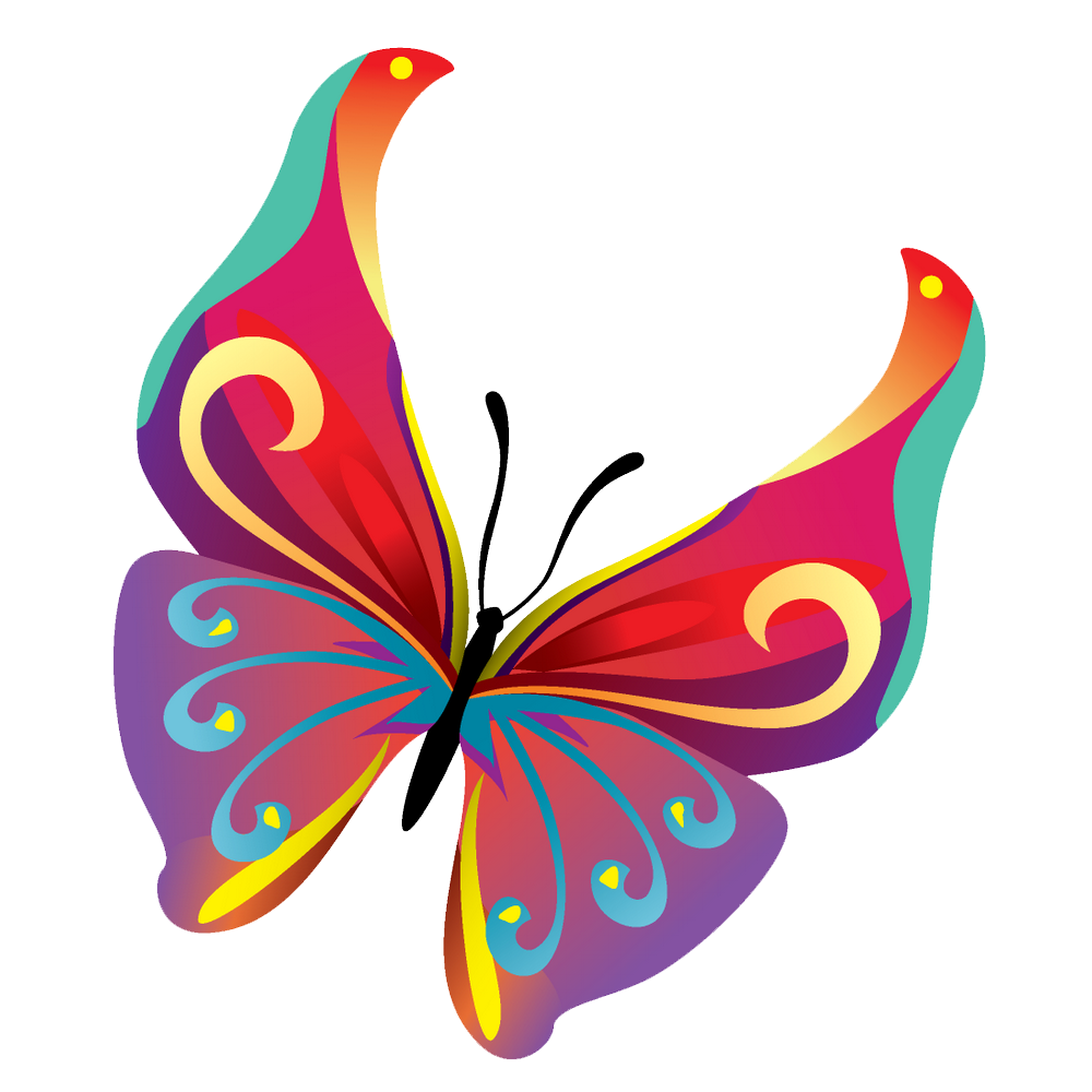 Png pics. Бабочка рисунок. Бабочки цветные. Бабочки на белом фоне. Бабочка вектор.