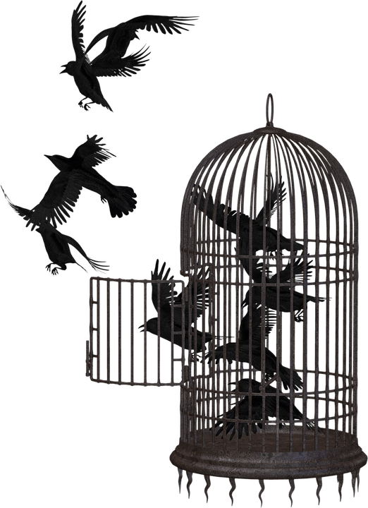 Cage PNG Picture PNG, SVG Clip art for Web - Download Clip Art, PNG