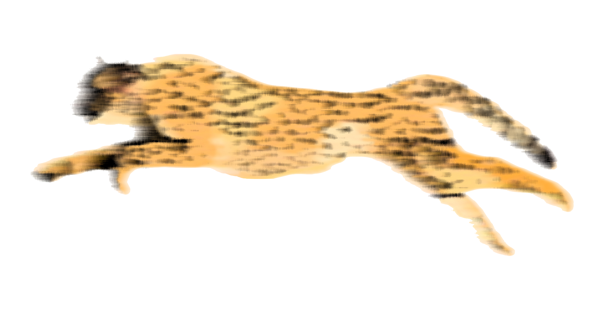 Cheetah PNG HD SVG Clip arts