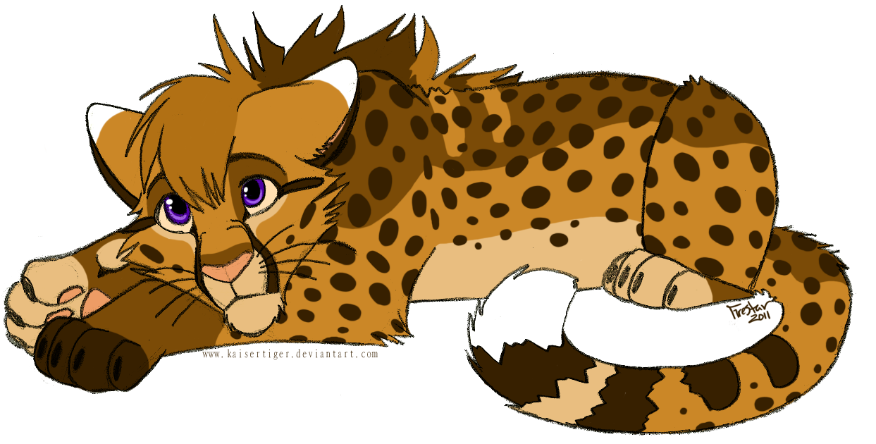 Cheetah Transparent Background SVG Clip arts