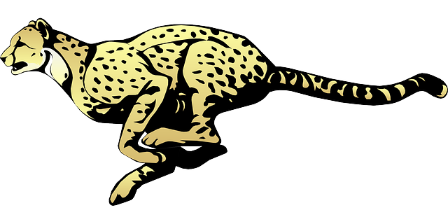 Cheetah Transparent PNG SVG Clip arts