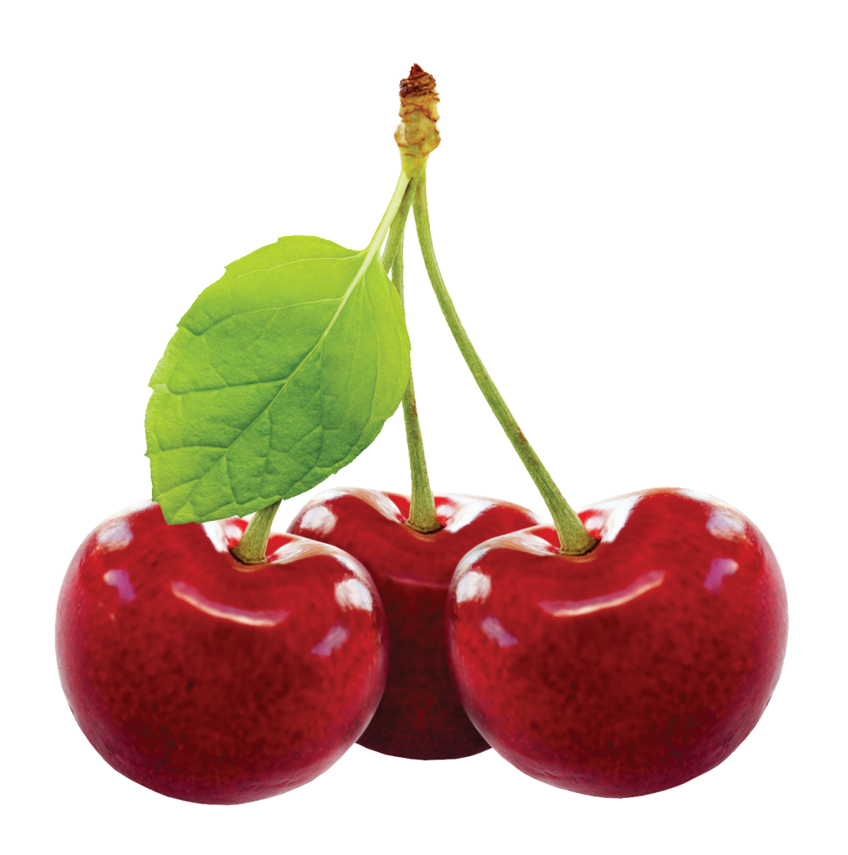 Cherry Fruit PNG Image SVG Clip arts