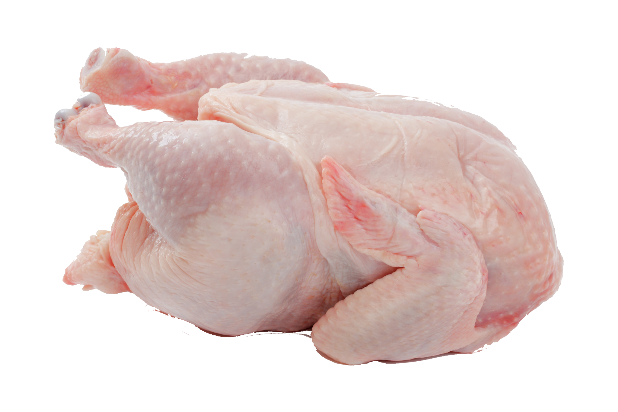 Chicken Meat PNG SVG Clip Art For Web Download Clip Art PNG Icon Arts chicken-meat-png-svg-clip-art-for-web-download-clip-art-png-icon-arts