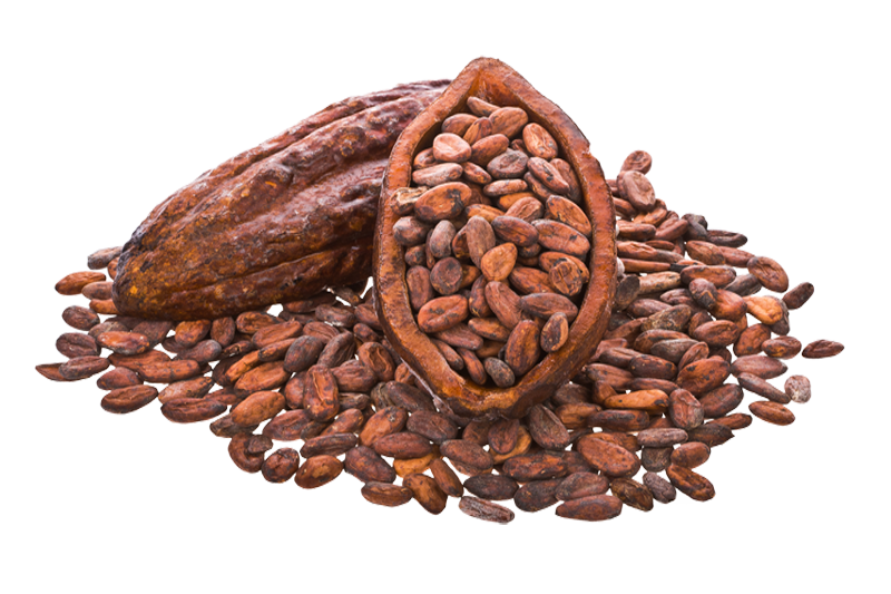 Cocoa Beans PNG Image PNG, SVG Clip art for  Download Clip Art